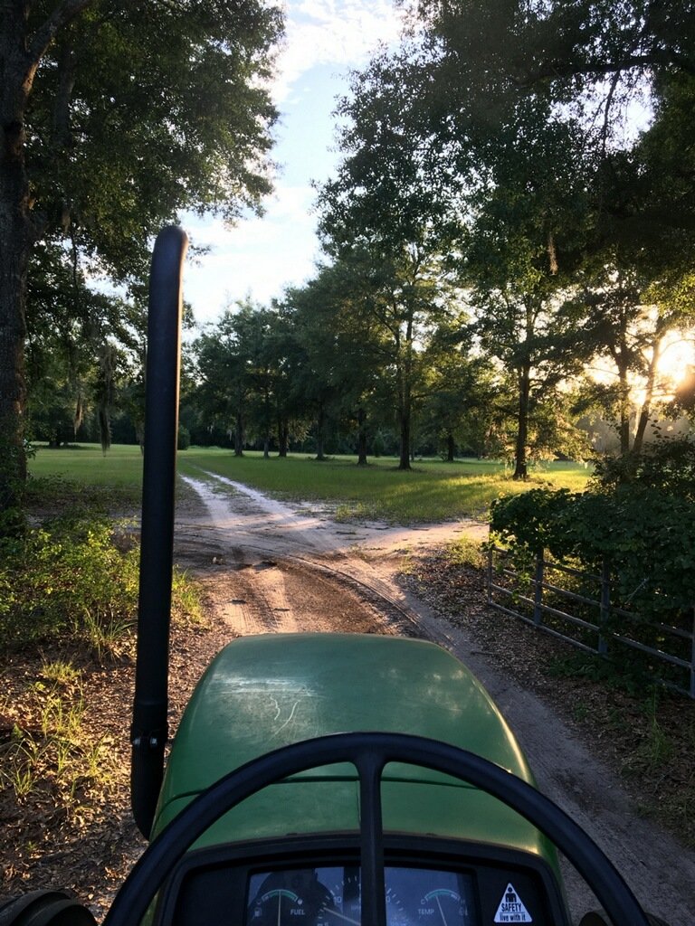 view from the seat of a tractor looking down a dirt road lined with trees