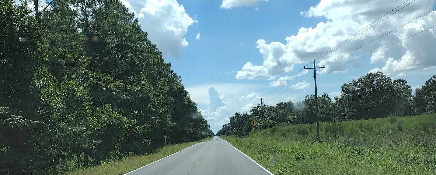 view of a paved road, sky and clouds with a row of trees on the left and a telephone pole on the right