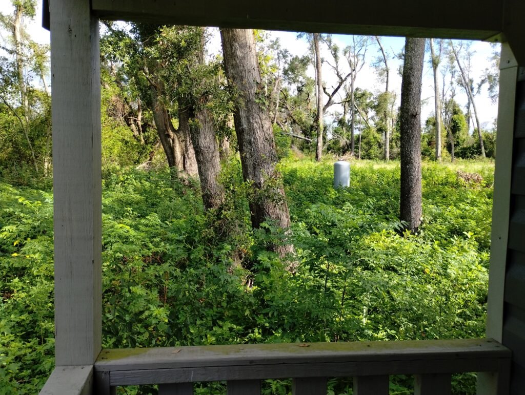 view to the right from the porch