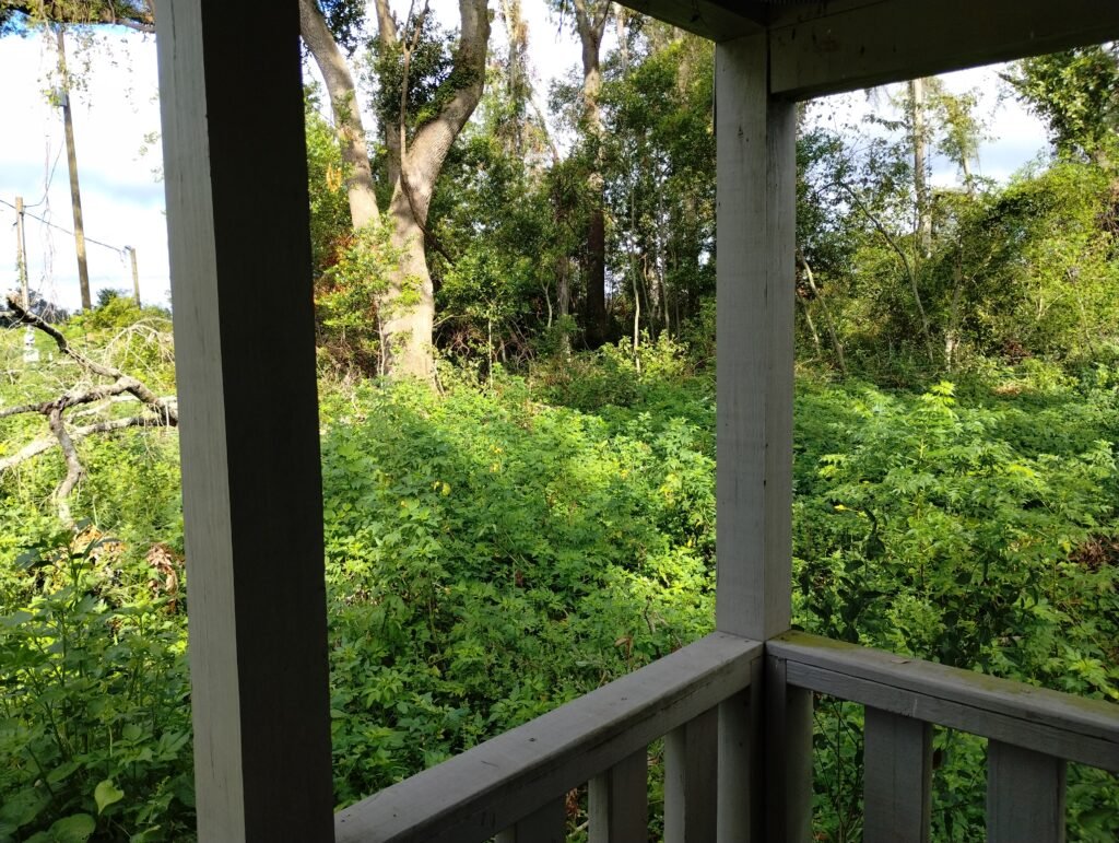 view from the porch looking to the left